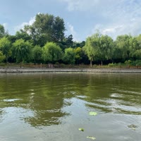 对刀子的重度依恋