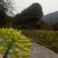 天空有龙