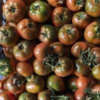 ＠宝忠（农业人）