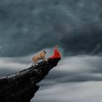 许你一世温柔1238