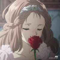 夏醉浅梦
