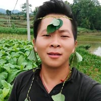 乡村龙太子