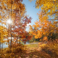 悟（๑‾᷅㉨‾᷅๑）