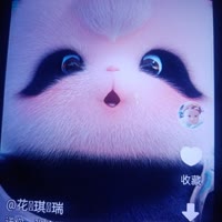 文凯哥