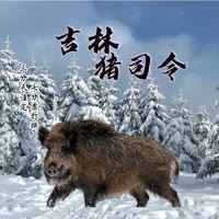 大军吉林猪司令