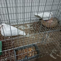 快乐的老男孩儿