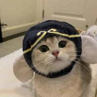 等风起