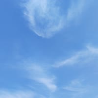 翔越物流强哥