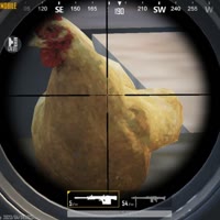 🐔