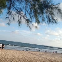 快乐每一天73367