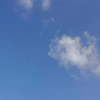 赤橙黄
