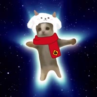 Happy猫的幸福生活