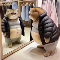 方方说动物
