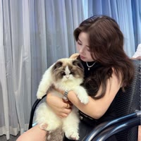 喵姐养猫