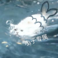白日梦想家4044