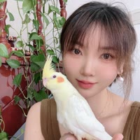 米果的宠物爱唱歌