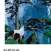 郑艺民