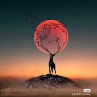开心果84736