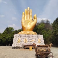 皮哥