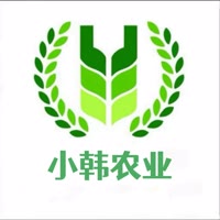 小韩
