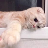 夏天