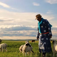 探味草原旗舰店