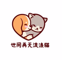 世间再无流浪猫
