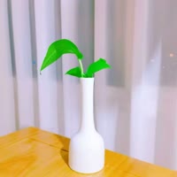 好运相伴