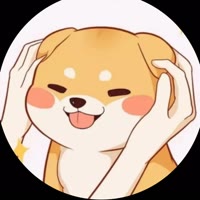 小柴玩游戏