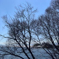 烟酒浪徒＠～