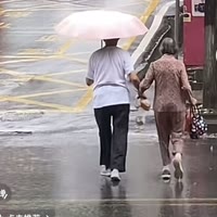 柠檬茴香酒