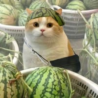 檬檬