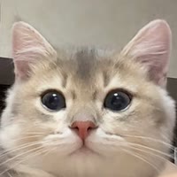 不咕噜