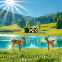 一切随缘16439