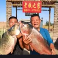 铁蛋二哥老铁之家