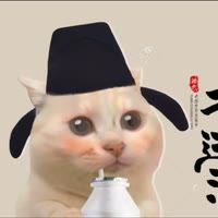 猫meme小剧场