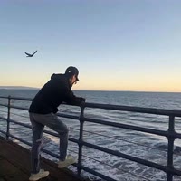 🛵涛声依旧