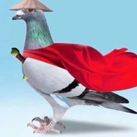 无法🕊无天 ⚡