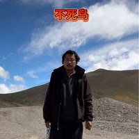不死鸟（浪迹一生）