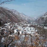 大实话