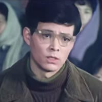 二十八画生