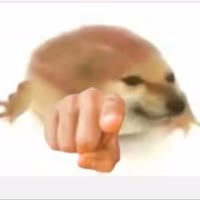 追风的小八嘎
