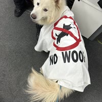 霸气小学生