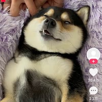 土豆泥信心满满