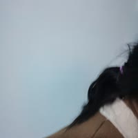 力所能及！＠