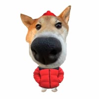 厂长ChangZ