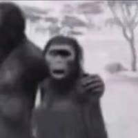 孤独的暗区生活