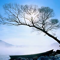 快手用户1740794792277