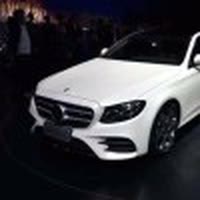 💰地主⛰️👲