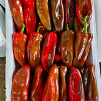 香葱红椒合作社